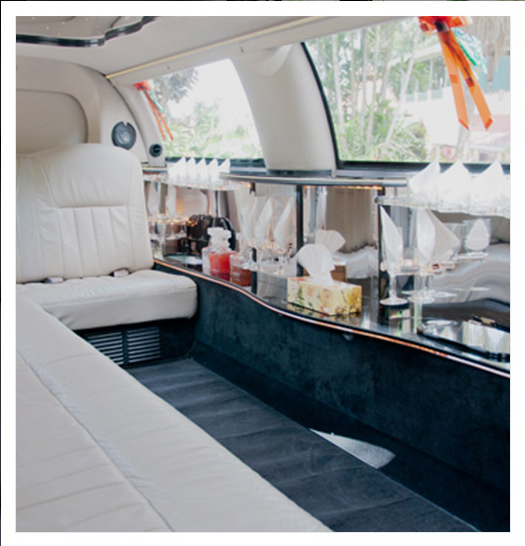 Luxury Limo Service